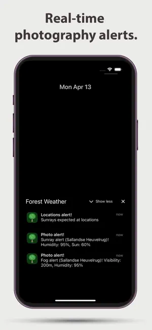 Forest Weather screenshot 2