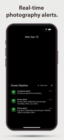 Forest Weather Screenshot 2 of 10