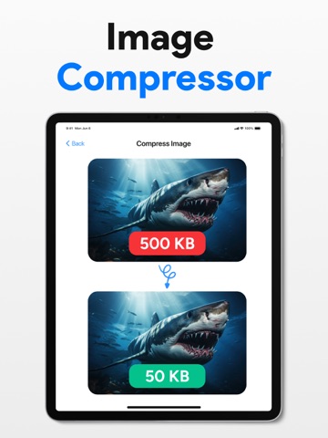 Image Converter: PNG,JPG, HEIC iPad screenshot
