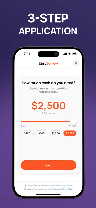 Easy Borrow: Cash Advance Loan screenshot 2
