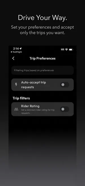 Vamp Driver screenshot 1