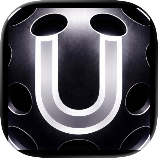 Unleashed Pickleball