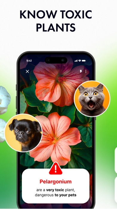 Plant Identifier: by Picture Screenshot