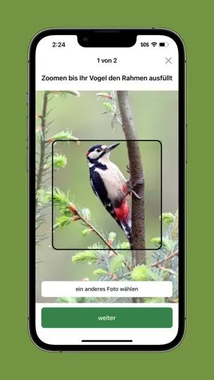 Screenshot von Merlin Bird ID Von Cornell Lab auf dem iPhone 6