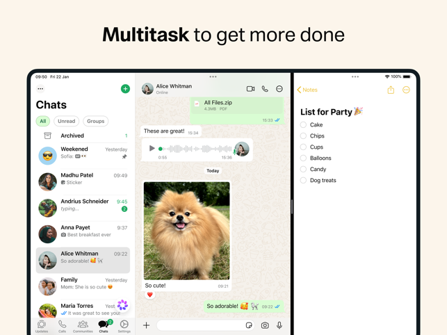 WhatsApp Messenger Screenshot