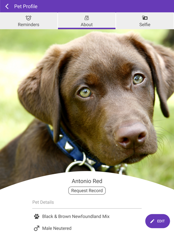 Wisdom Animal Hospital iPad screenshot 3 - Business app