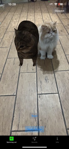 SpinningCat screenshot
