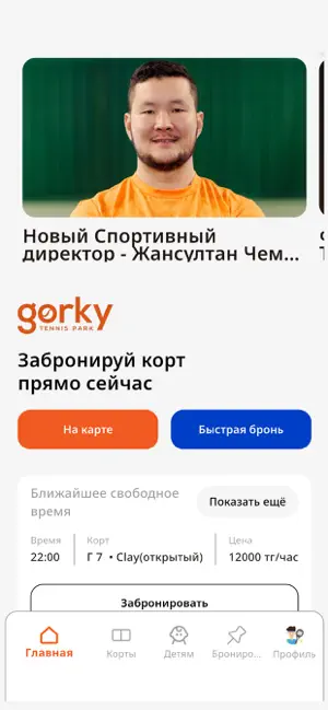 Gorky Tennis screenshot 1