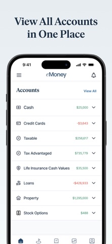 eMoney Client Portal Screenshot 3 of 6