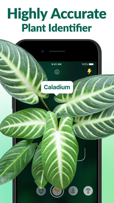 Plantum - AI Plant Identifier Screenshot