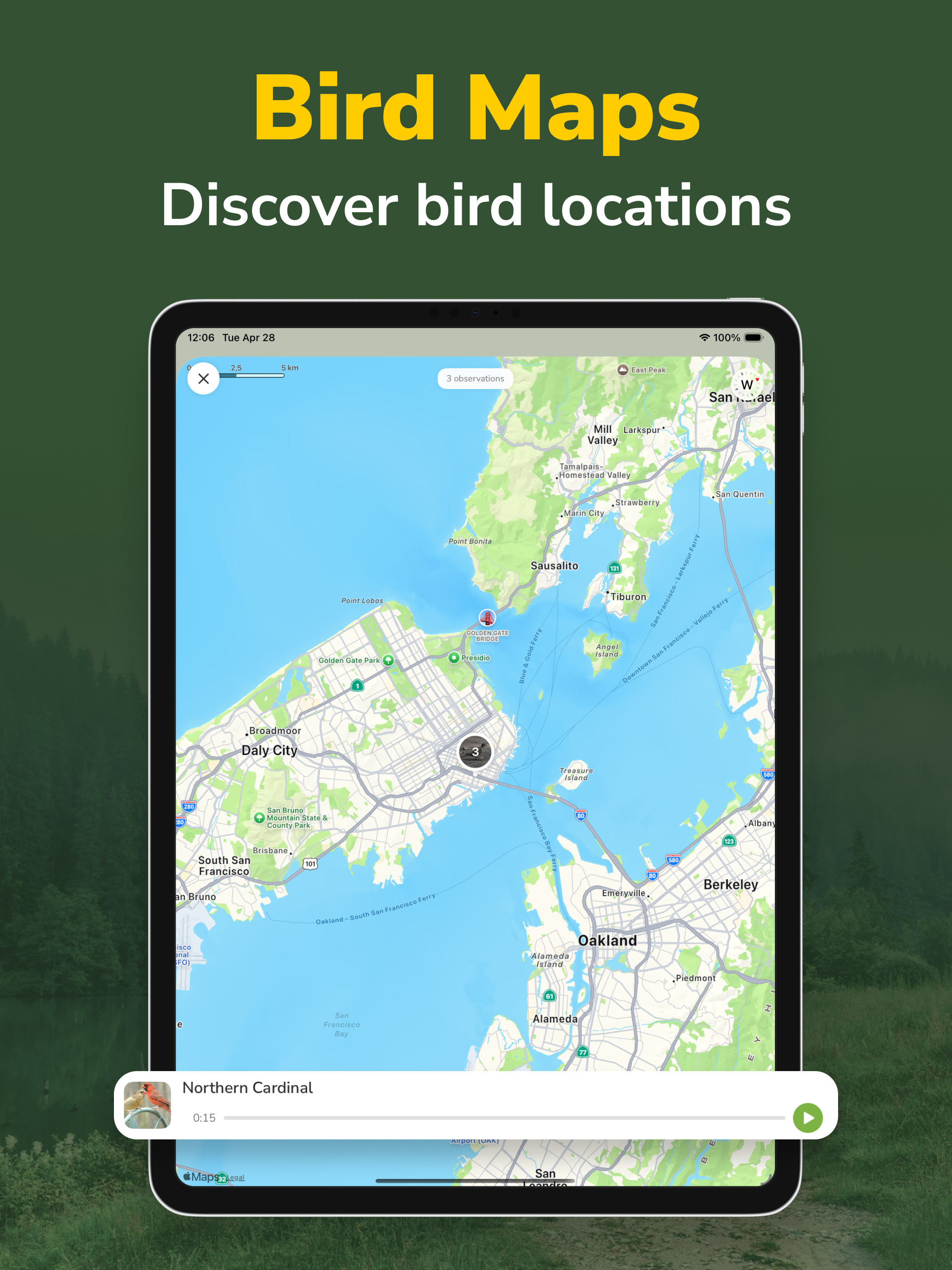 Bird Identifier: Song ID screenshot 10