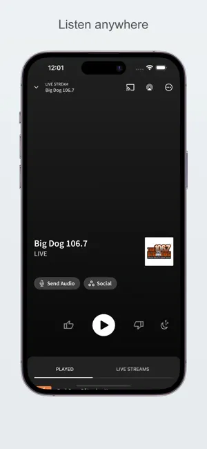 The Big Dog Green Bay screenshot 2
