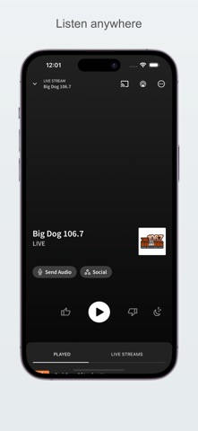 The Big Dog Green Bay iPhone screenshot