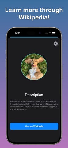 Dog Scanner: Breed Identifier Screenshot 4 of 5