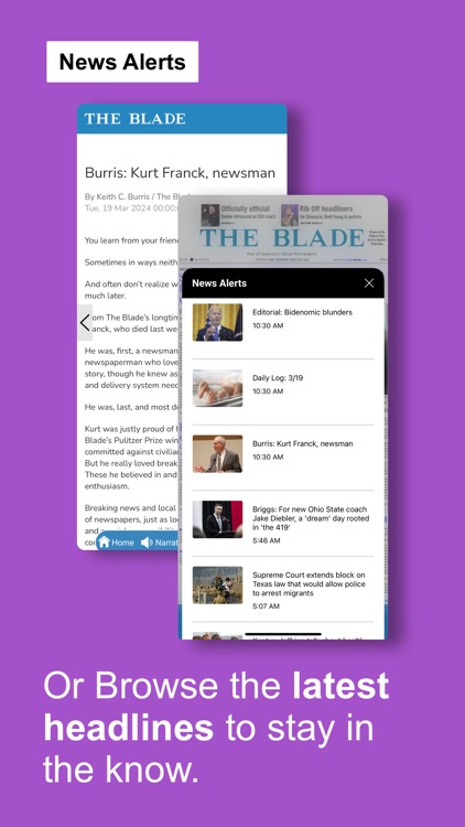 THE BLADE screenshot-3