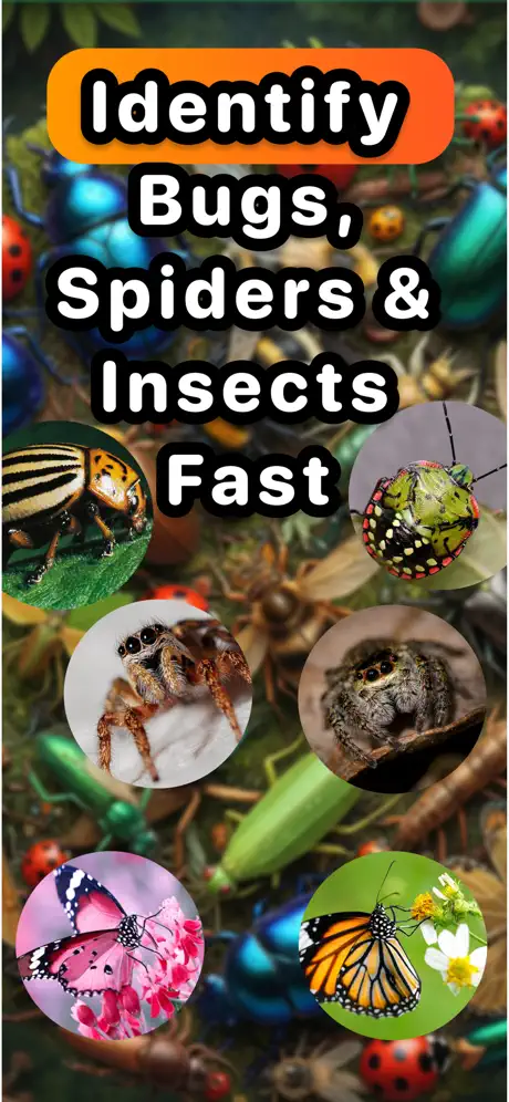 Spider Identifier: Pest Scanner screenshot 1