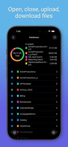 Server Manager screenshot