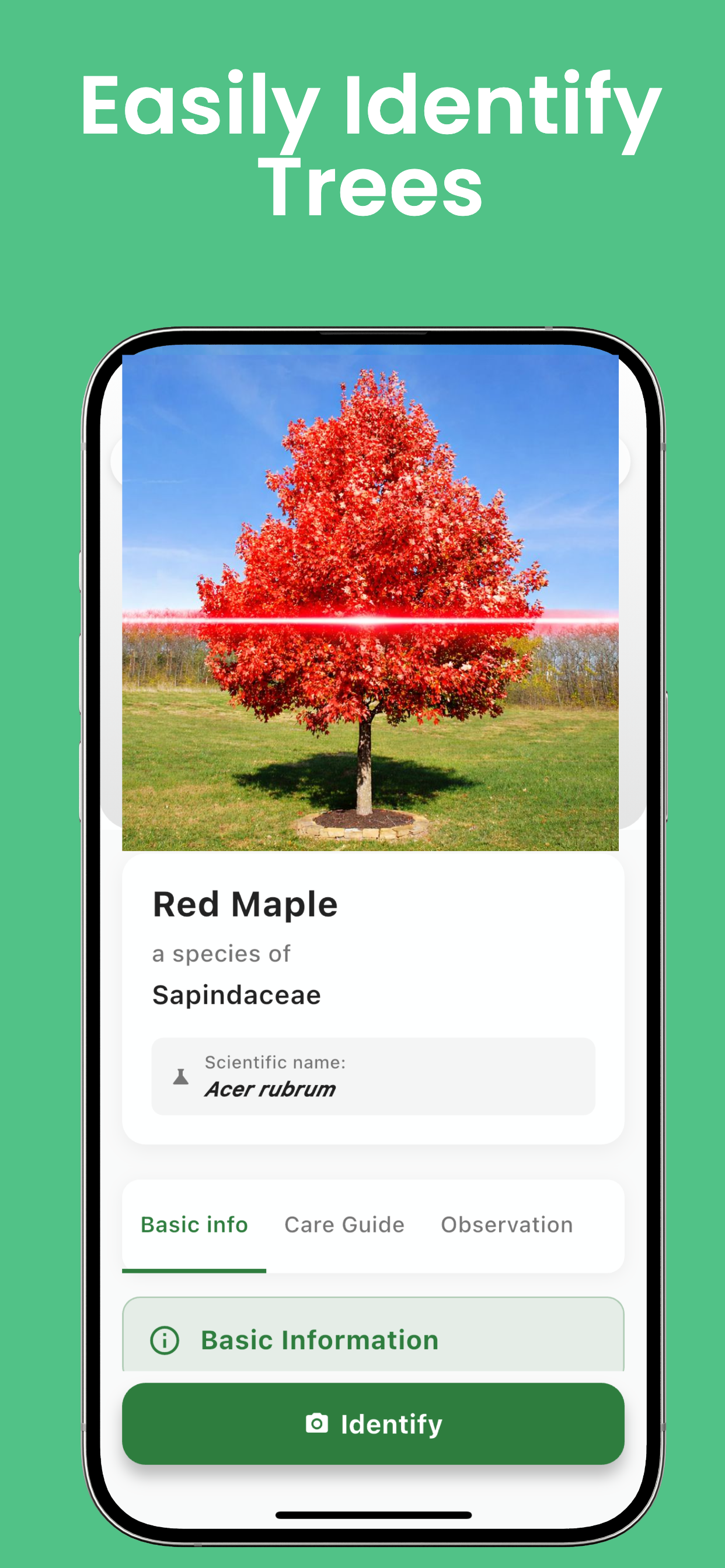 Identify Plants - Plant ID screenshot 4