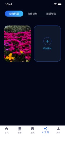 观立拍 screenshot