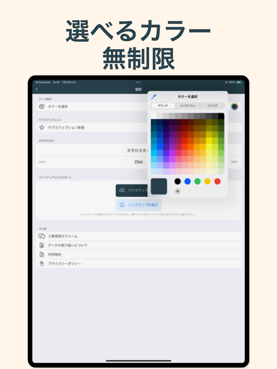 iPad screenshot