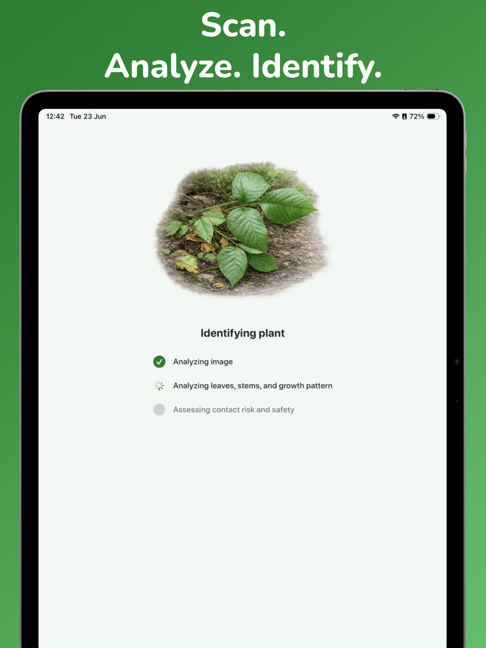 iPad screenshot