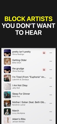 Music Discovery: SkipFresh Screenshot 2 of 4