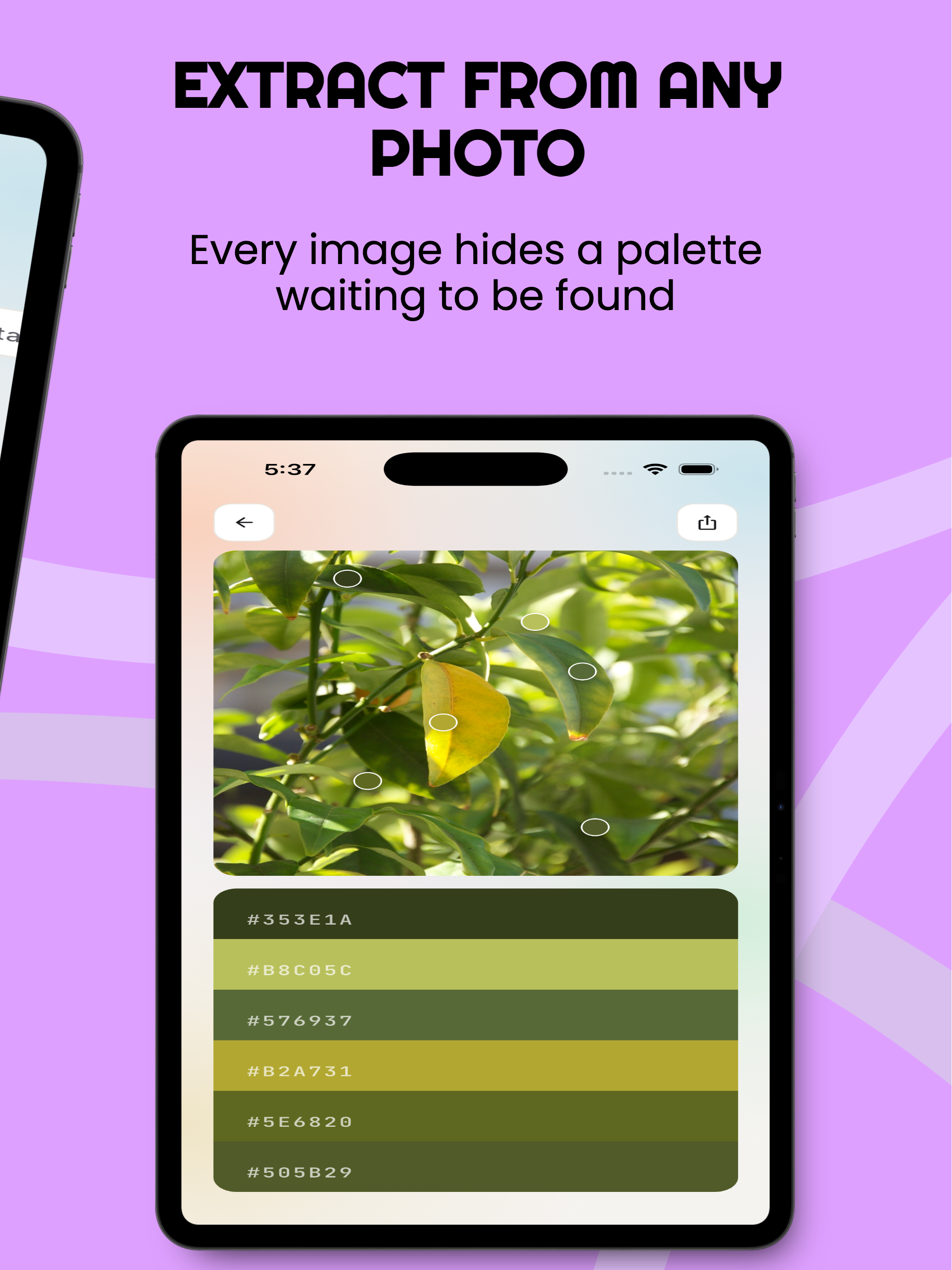 Palettely : Color Palettes screenshot 8
