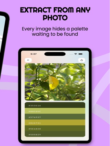 Palettely : Color Palettes ipad screenshot 3