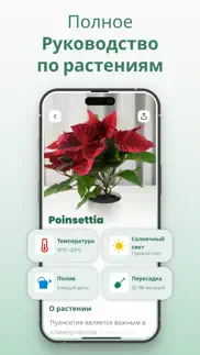 plantify: Цветы и деревья айфон картинки 2