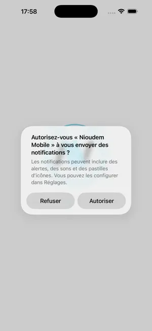 Nioudem - Taxi screenshot 2