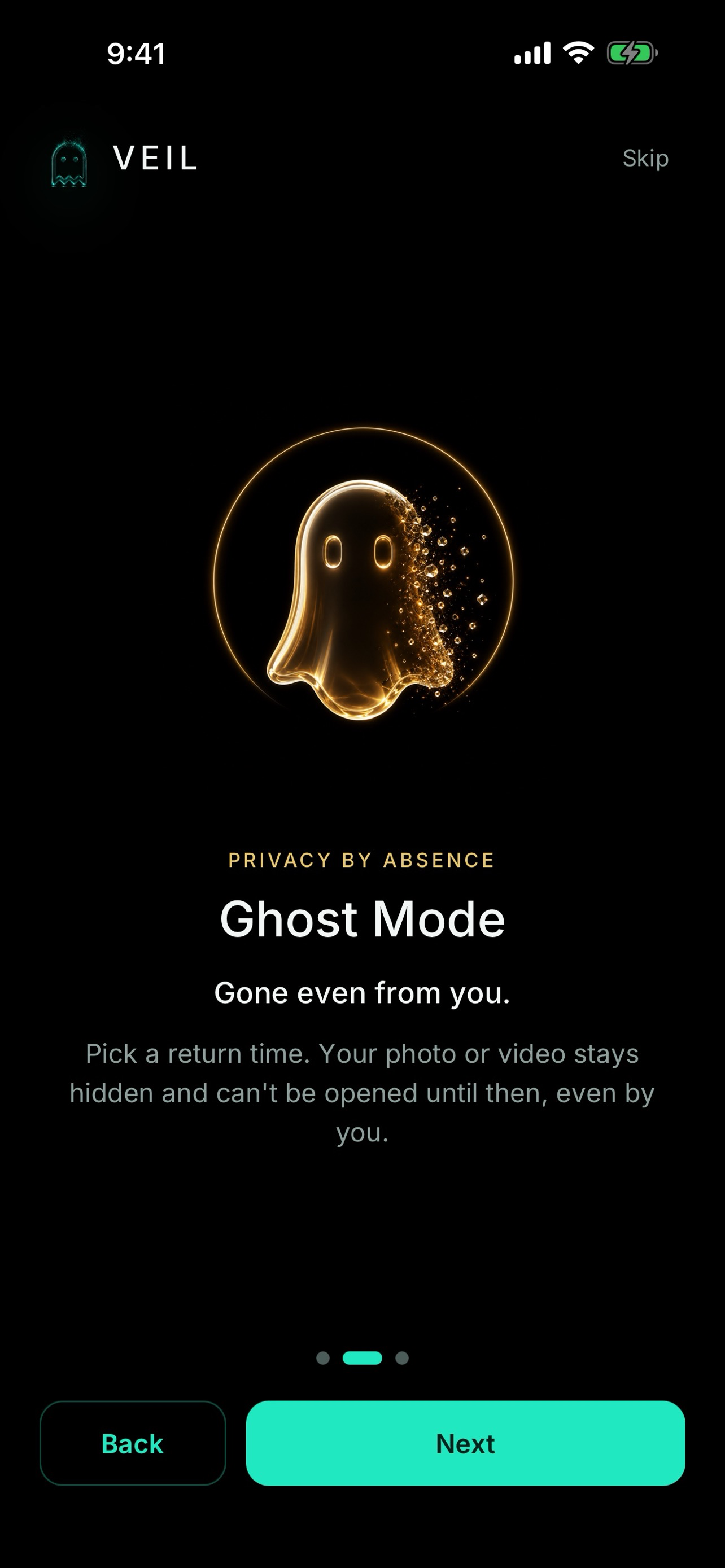 Veil Privacy screenshot 4