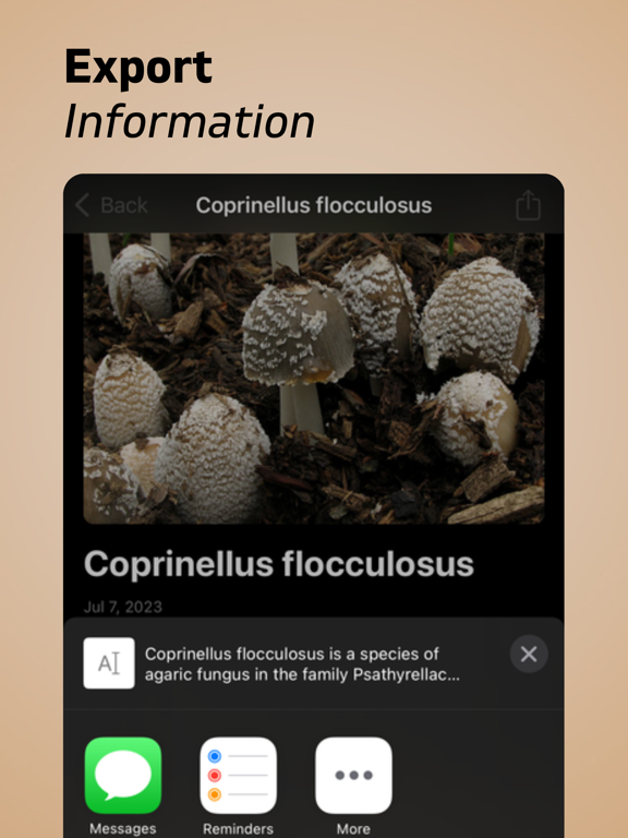 Mushroom Identifier AI iPad screenshot