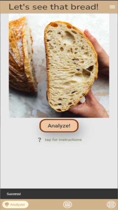 Sourdough Baker AI Screenshot