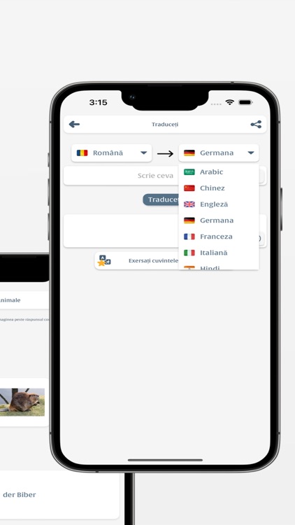 Invata Germana screenshot-7