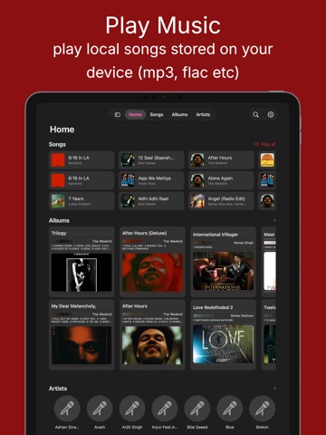 Melosik - Music player iPad screenshot
