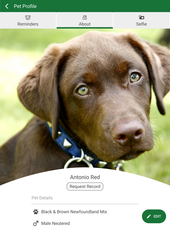 FamilyPet iPad screenshot 3 - Business app