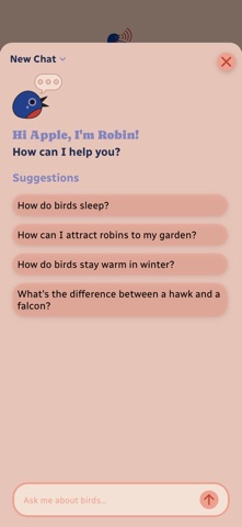 Robin - Bird Song ID iPhone screenshot