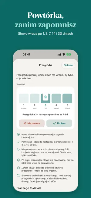 Fiszki RU: Russian vocabulary screenshot 3