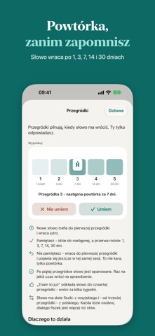 Fiszki RU: Russian vocabulary screenshot 3