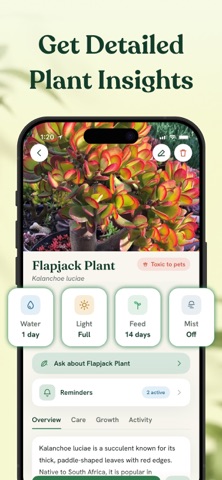 Plant Identifier - Arbora AI iPhone screenshot