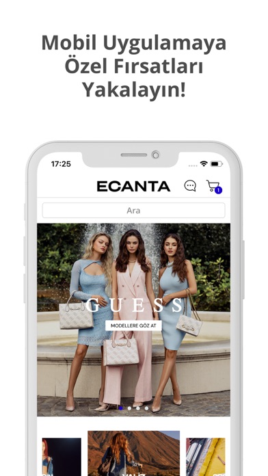ECANTA Screenshot