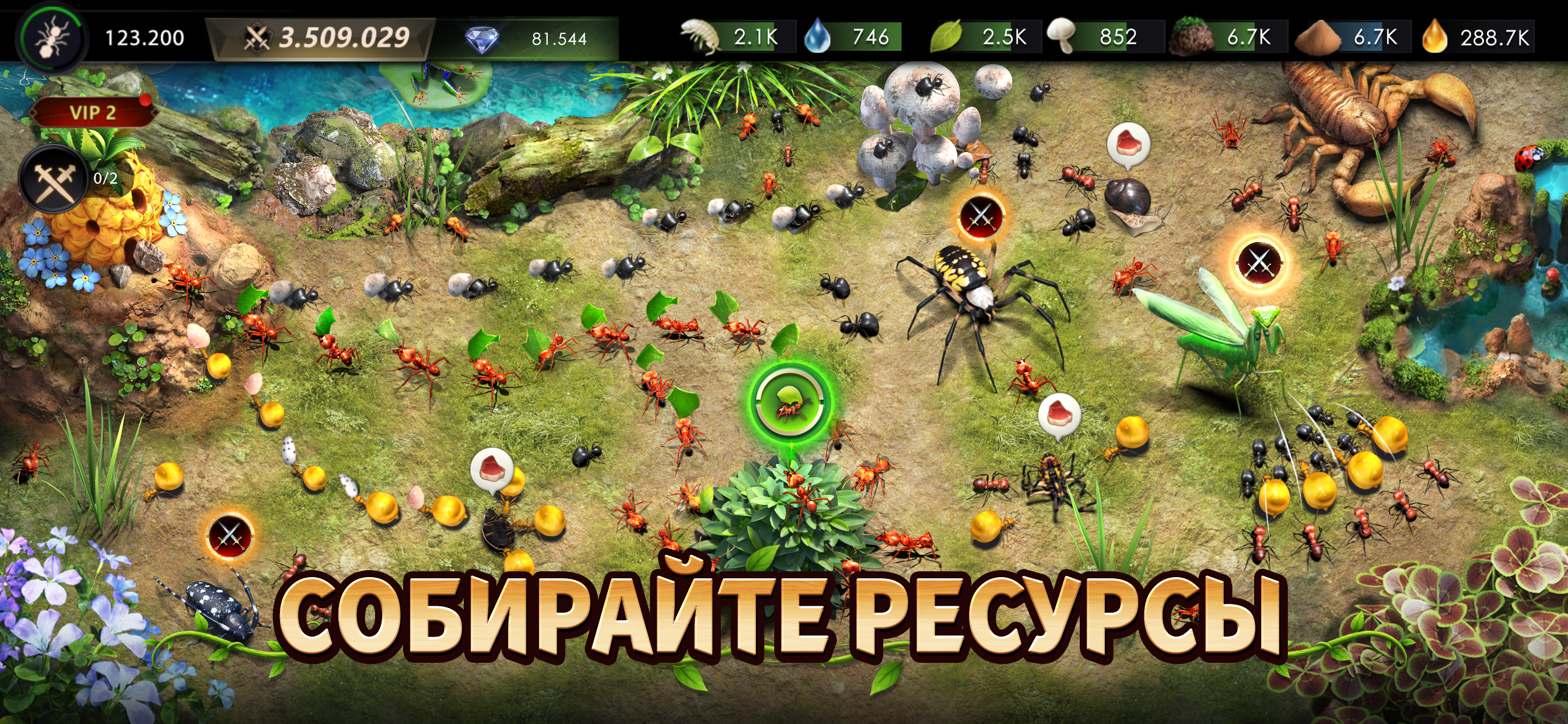 OBSERV 520x