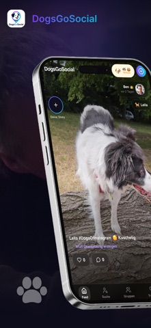 DogsGoSocial screenshot