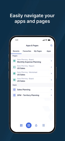 Anaplan screenshot
