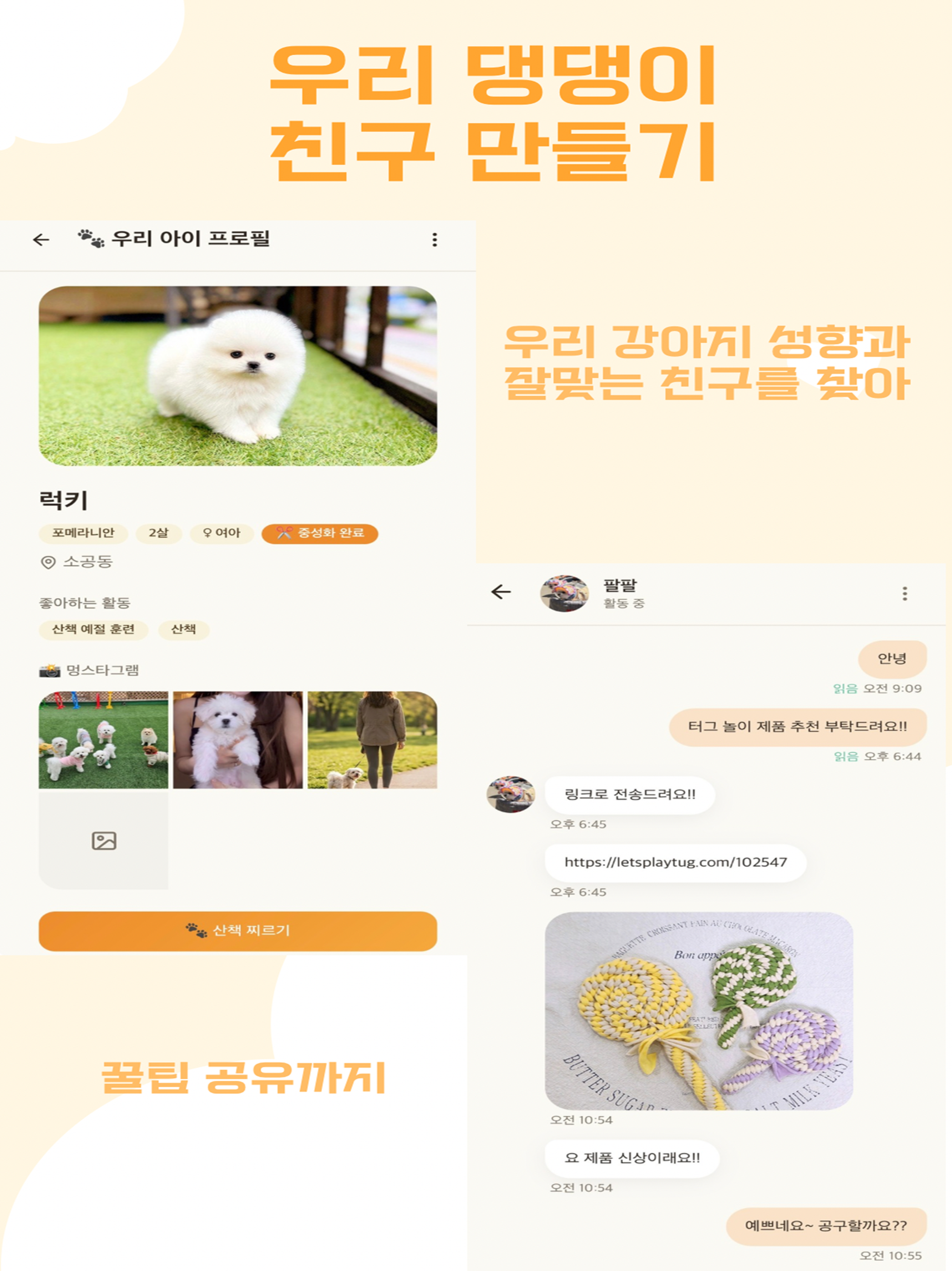 댕댕워크