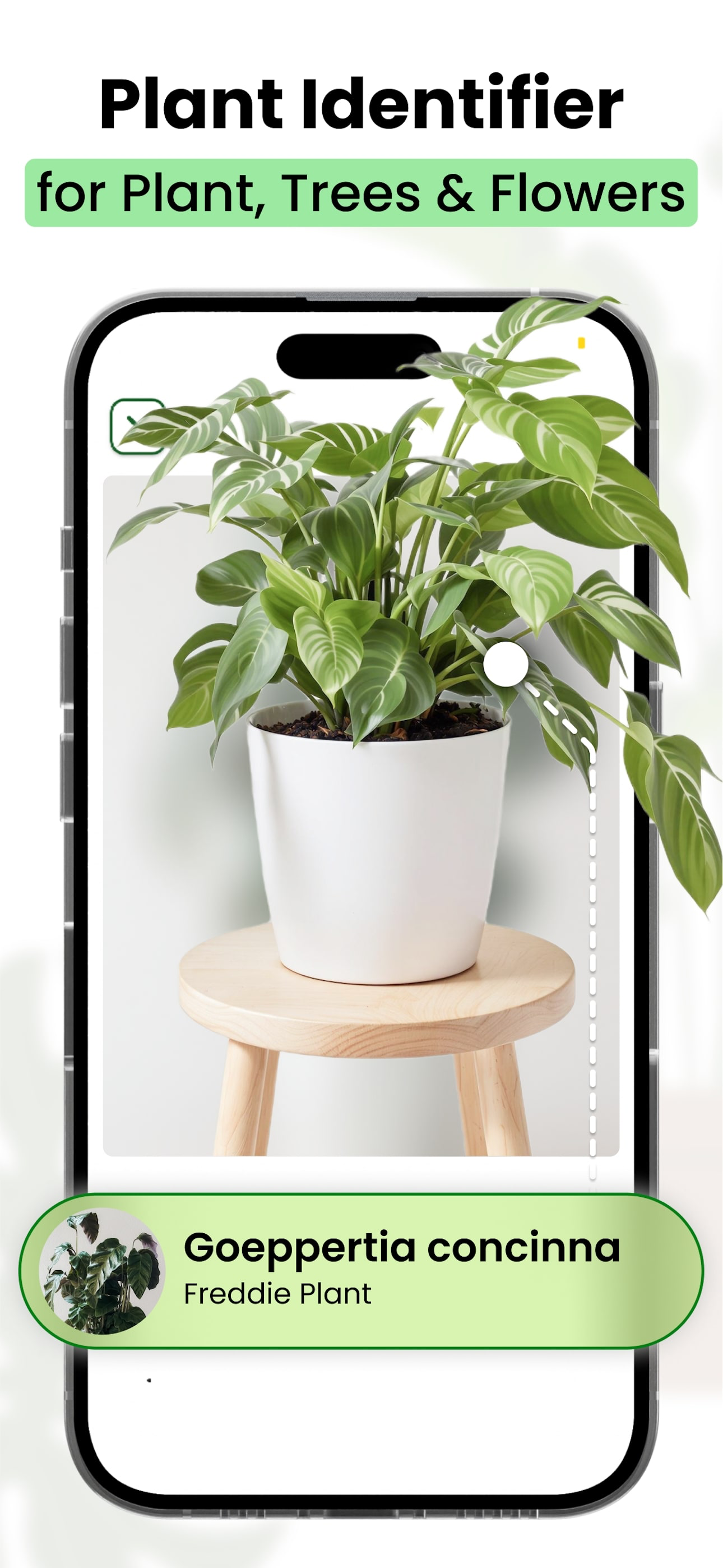 Identify Plants - Plant AI screenshot 3