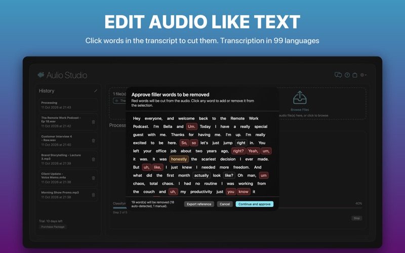 Aulio Studio screenshot 2