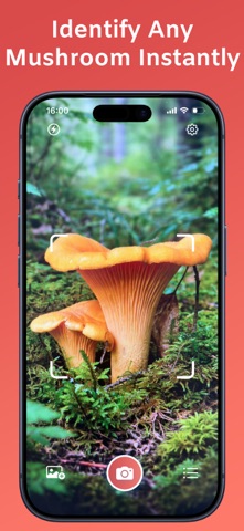 Picture Mushroom－Identifier AI iPhone screenshot