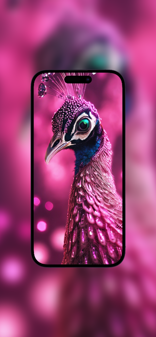 Peacock Wallpapers Screenshot 5 of 5