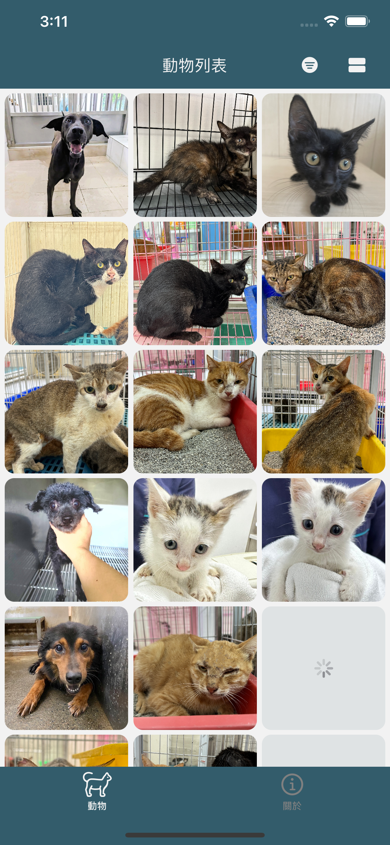 AnimalAdoption